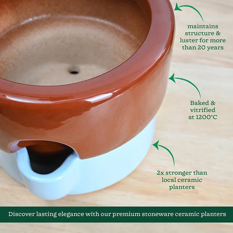 Ugaoo Lady Leafington Ceramic Planter - Terracotta & Blue media 5
