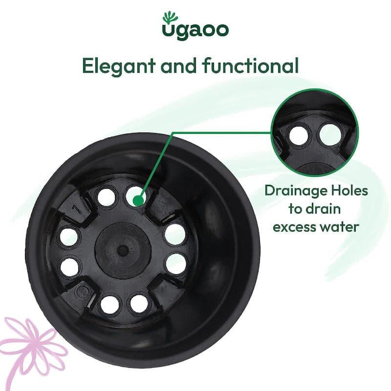 Ugaoo UV Treated Black Plastic Pot (30 CM) - Set Of Twelve media 6