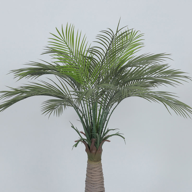 Oasis Artificial Areca Palm With Black Plastic Pot - 3.6 Feet media 5