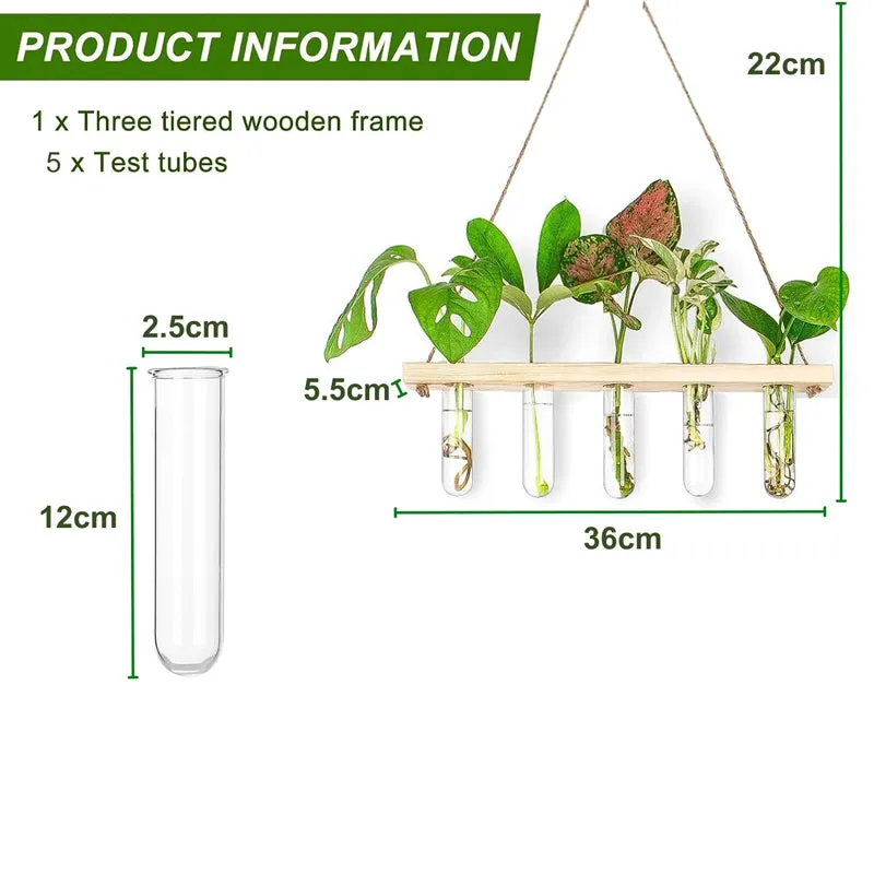 Arana Test Tube Planter media 4