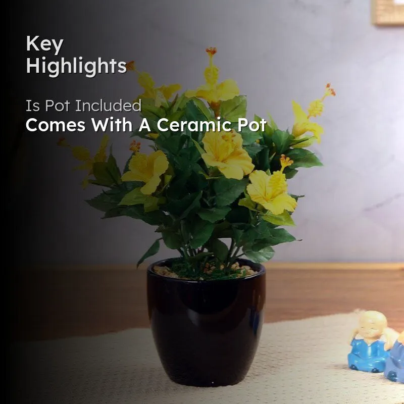 Faux Mini Hibiscus Bonsai In Ceramic Pot (31 cms) - Yellow media 2