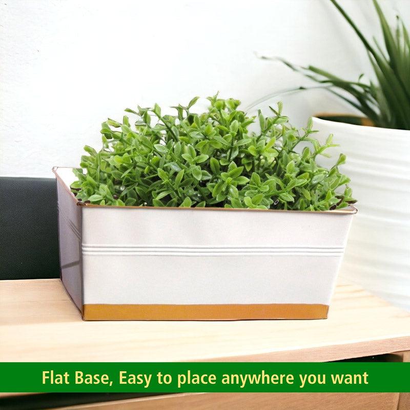 Adro Planter (Multicolor) - Set Of Six media 10