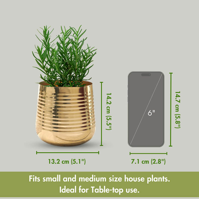 Shimmer Metal Gold Ribbed Planter - Gold media 7