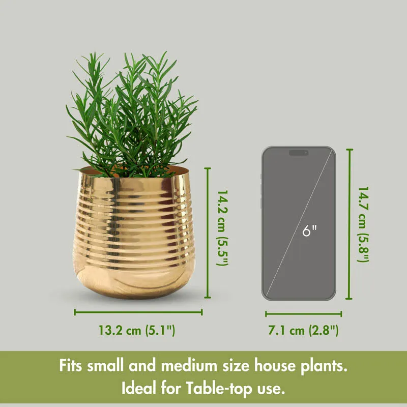 Shimmer Metal Gold Ribbed Planter - Gold media 7