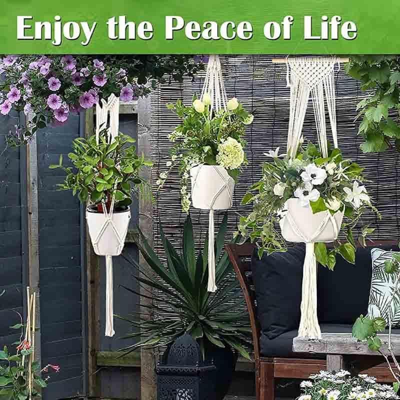 Sofia Macrame Plant Hanger - Set Of Two media 5