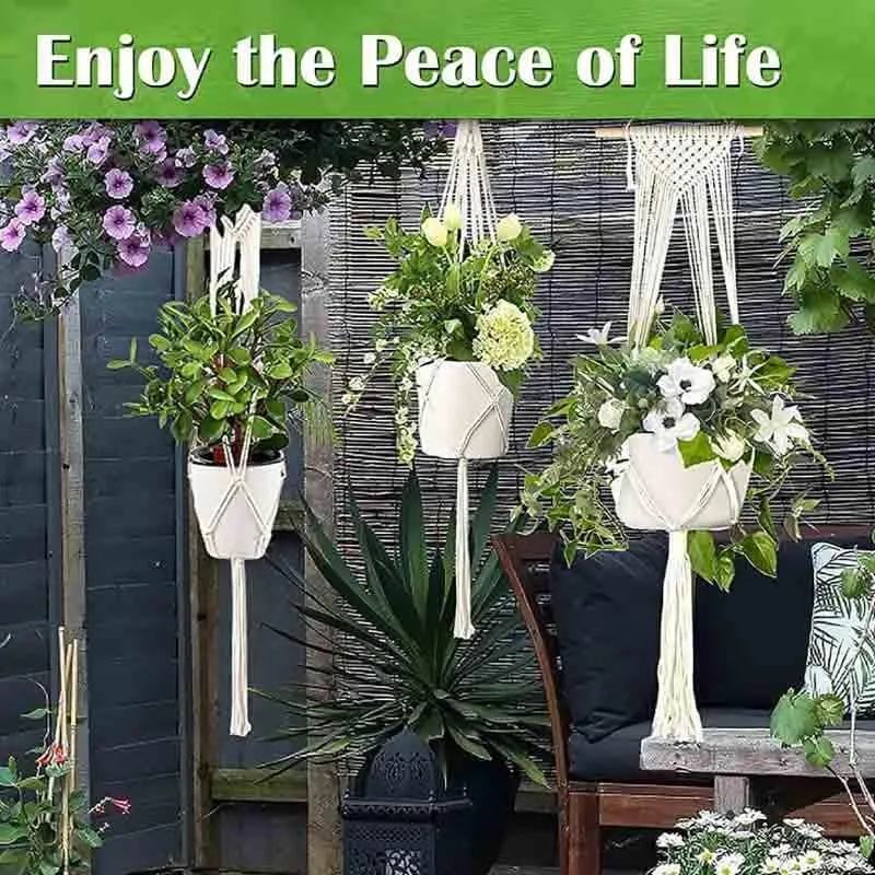 Sofia Macrame Plant Hanger - Set Of Two media 5