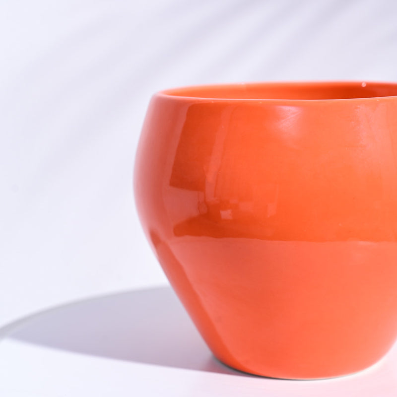 Ugaoo Apple Orange Ceramic Pot- Medium media 4