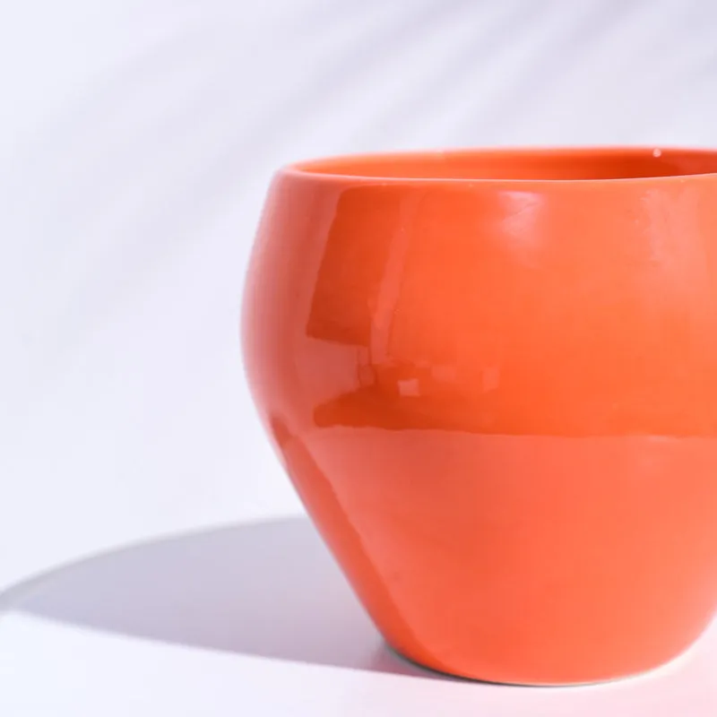 Ugaoo Apple Orange Ceramic Pot- Medium media 4