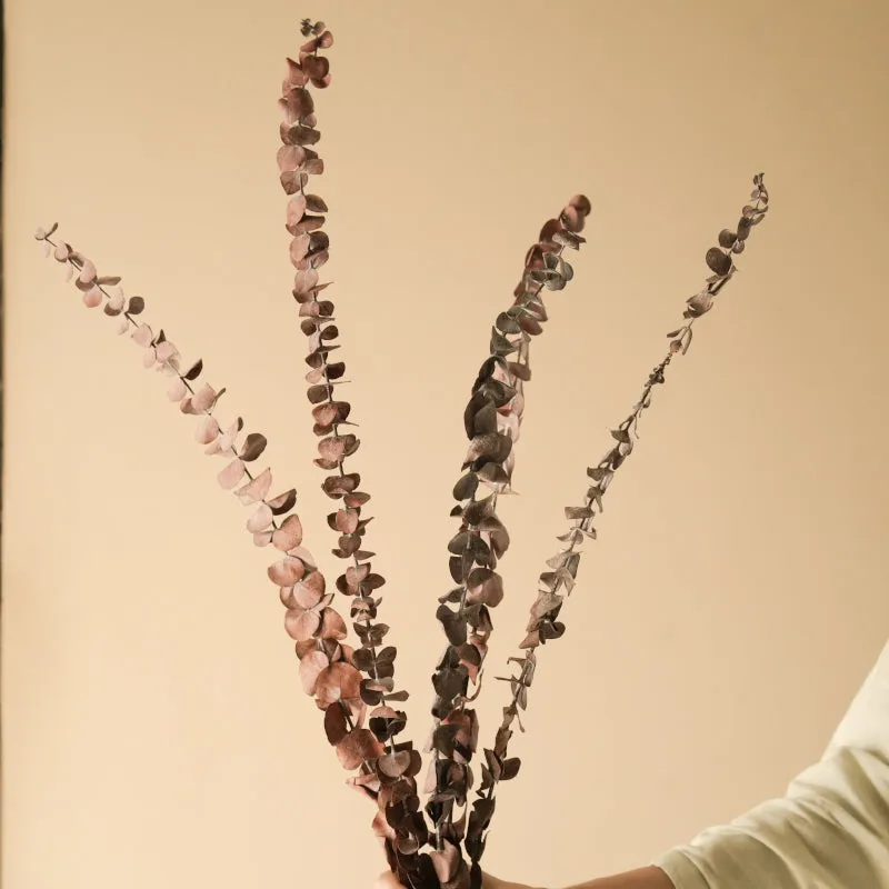 Eumo Dried Eucalyptus Leaf - Set Of Five media 3