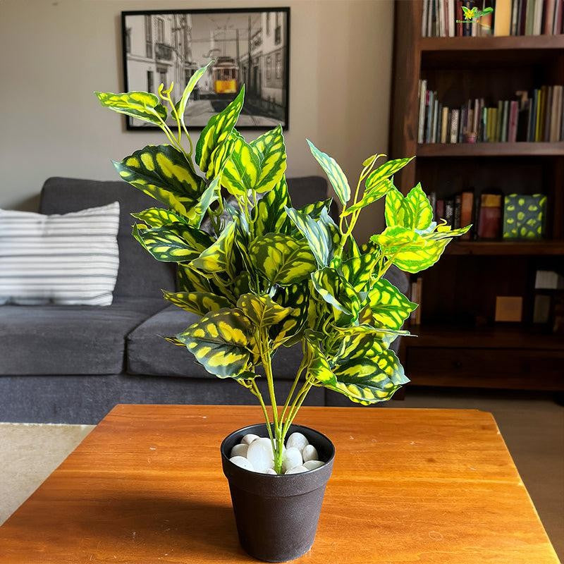 Faux Everlasting Peacock Plant With Black Plastic Pot - 48 cm media 3