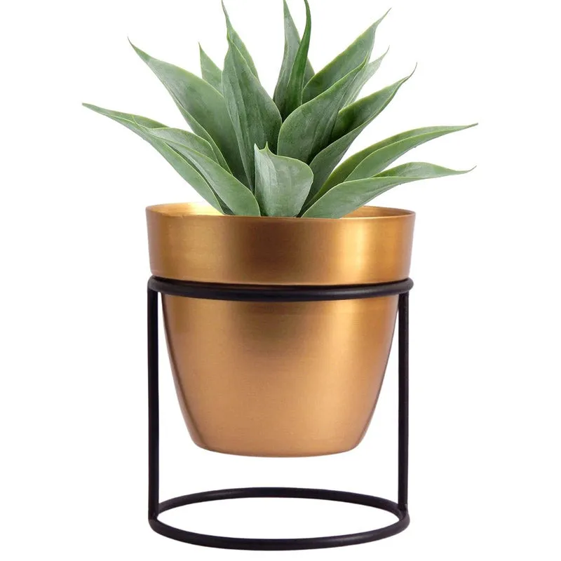 Zutoia Black Planter - White media 3