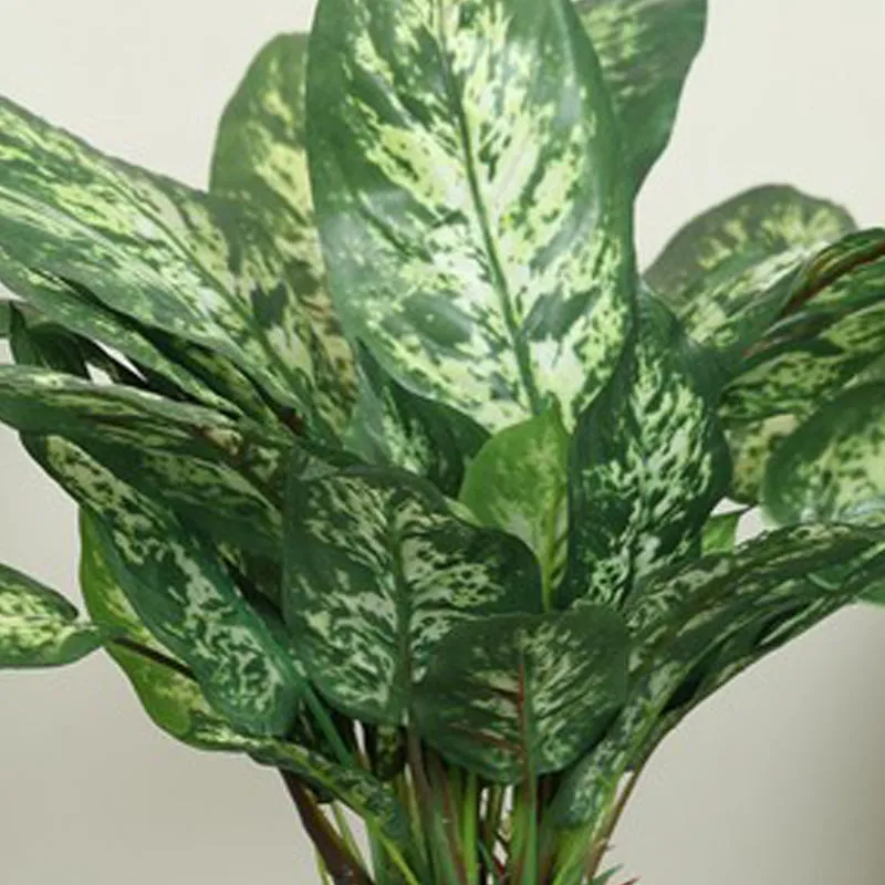 Artificial Dieffenbachia Plant Without Pot - 1 Feet media 4