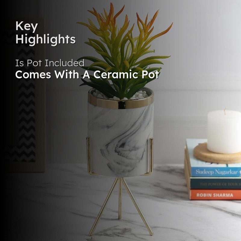 Faux Euphorbia In Marble Pot - 28 cms media 2
