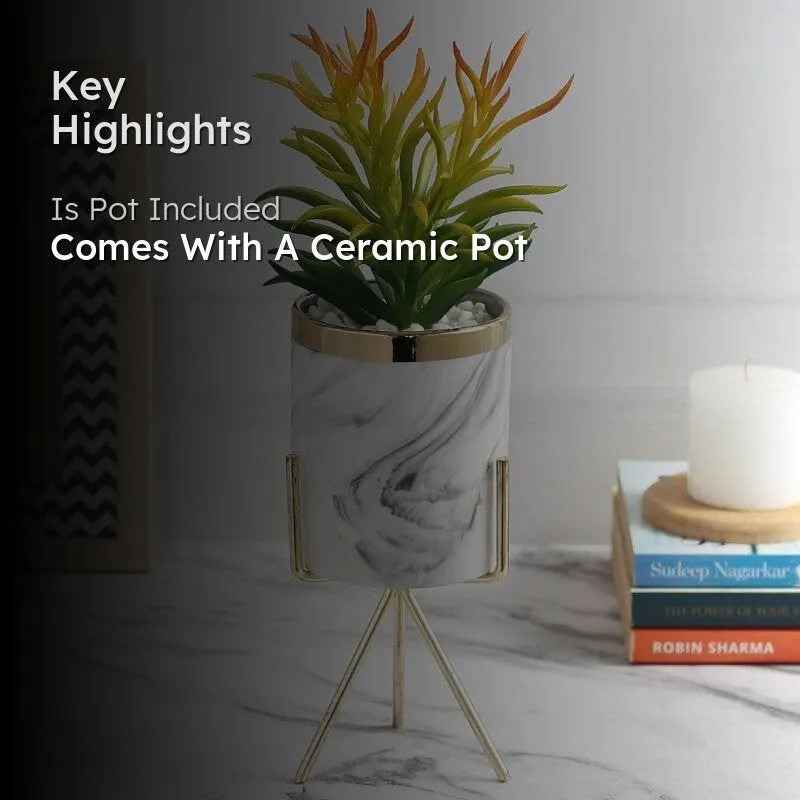 Faux Euphorbia In Marble Pot - 28 cms media 2