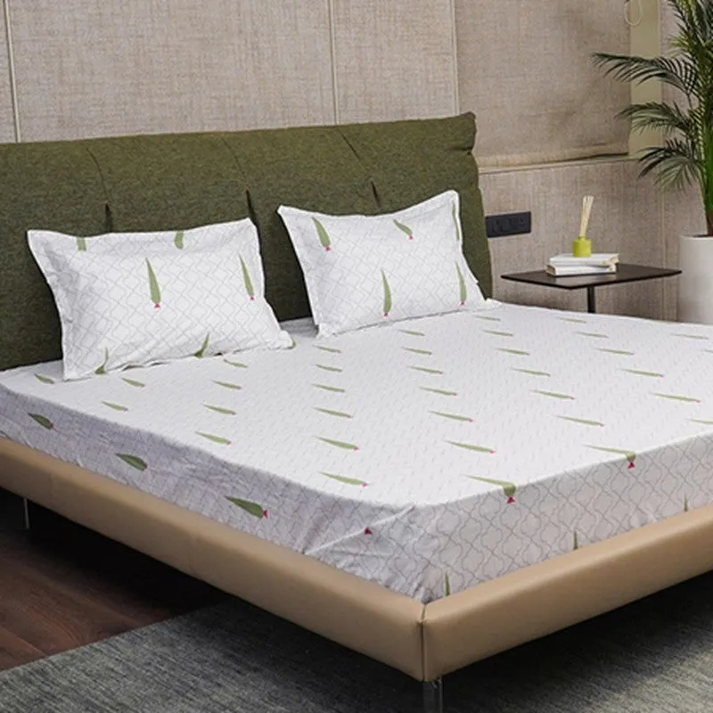Urban Space Palm Fir Cotton Bedsheet - 200 TC media 8