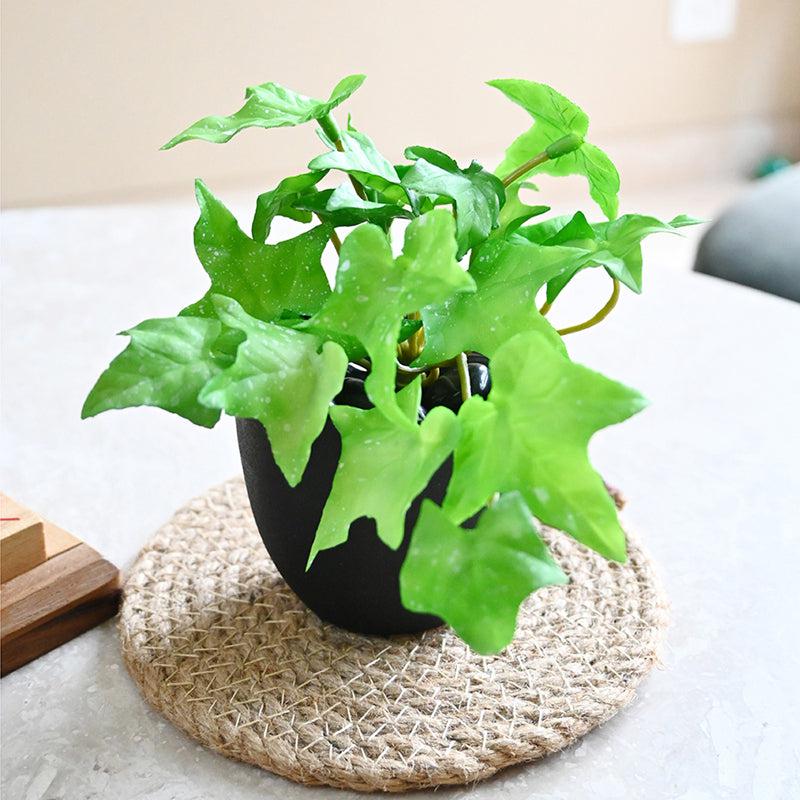 Ivella Artificial Mini Ivy Plant With Basic Black Plastic Pot (Light Green) - 14 cm media 6