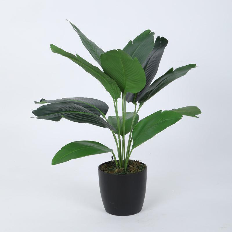 Faux Palm Bonsai With Black Plastic Pot (55 cms) - Set Of Two media 5