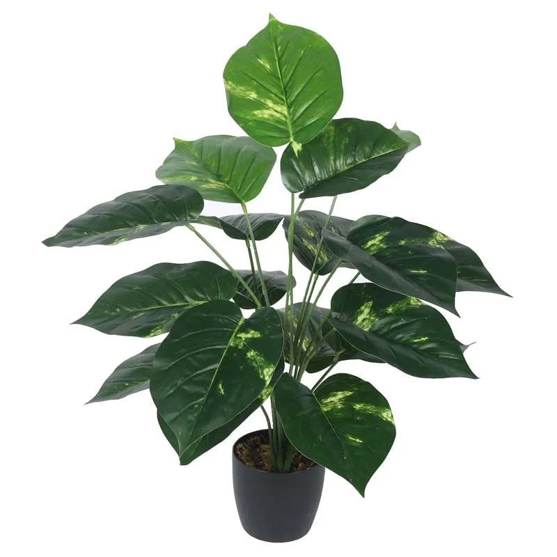 Faux Lush Pothos Plant With Black Plastic Pot - 2.3 Feet media 4