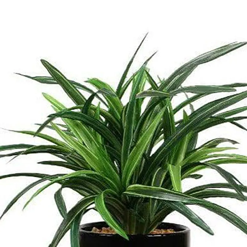 Faux Big Dracaena Bonsai (27 cms) - Green media 3