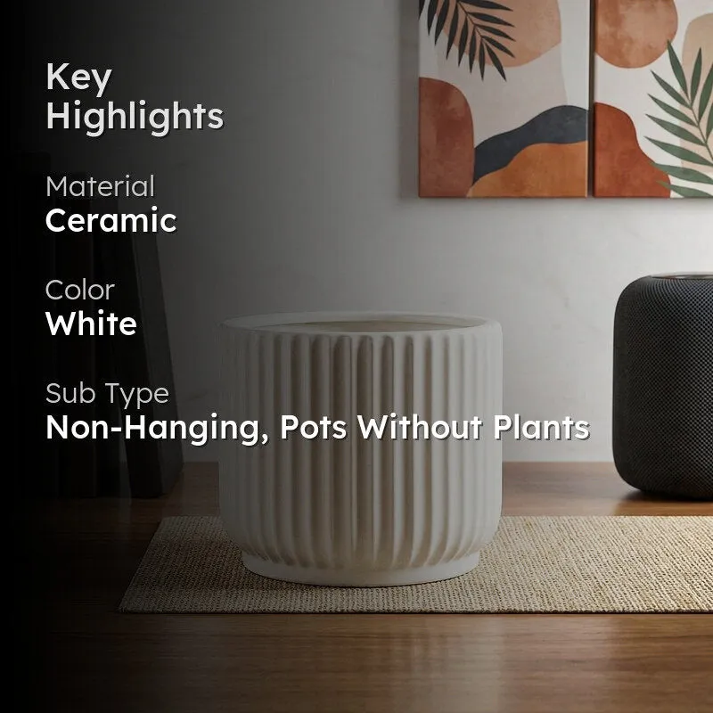 Ugaoo Phoenix Ceramic Pot (25 CM) - White media 2