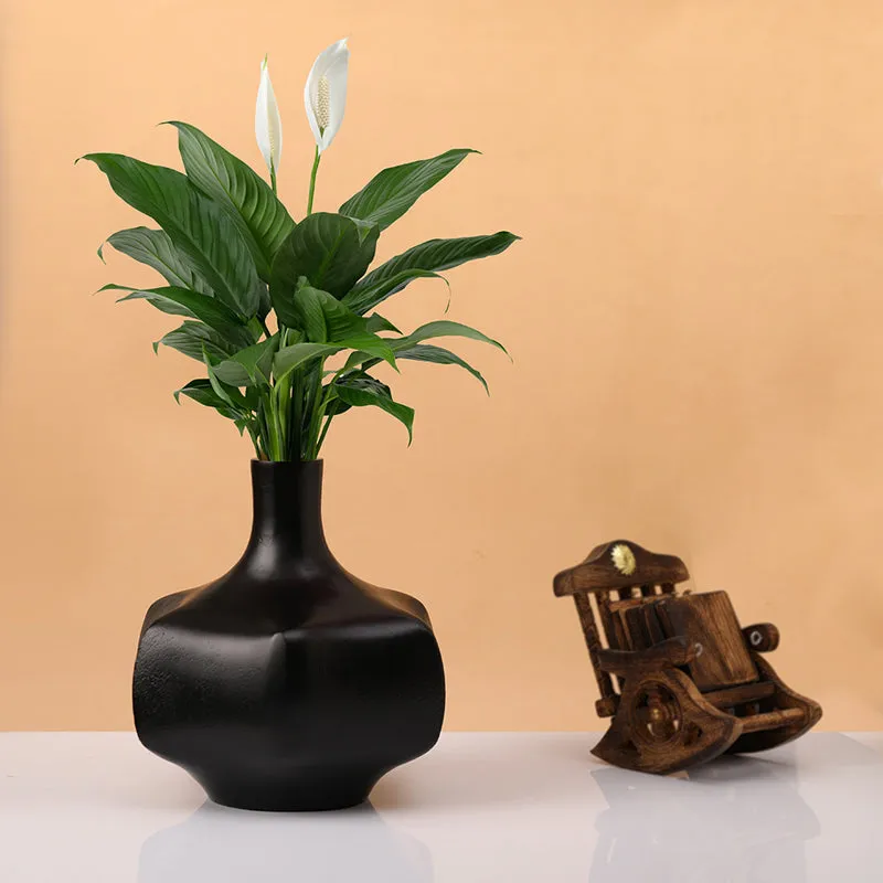 Craggu Metal Vase - Black media 5