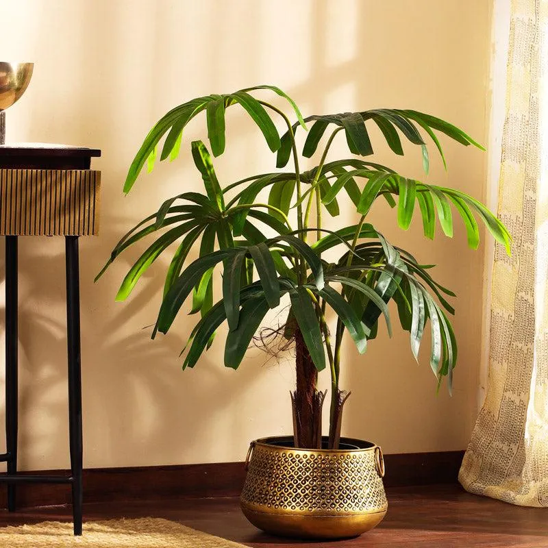 Faux Realistic Areca Tree With Black Plastic Pot - 3.9 Feet media 1
