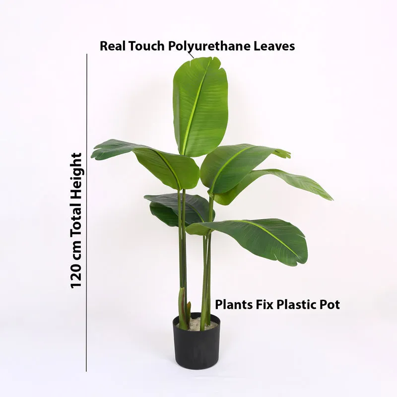 Verdiq Artificial Banana With Black Plastic Pot - 4 Feet media 6