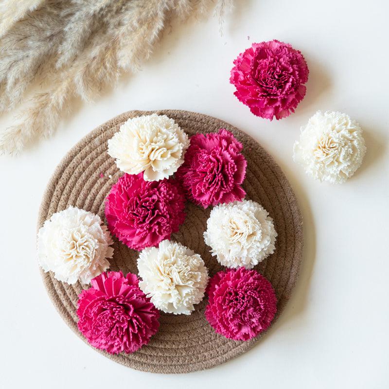Berta Carnation Sola Flower (Pink & White) - Set Of Ten