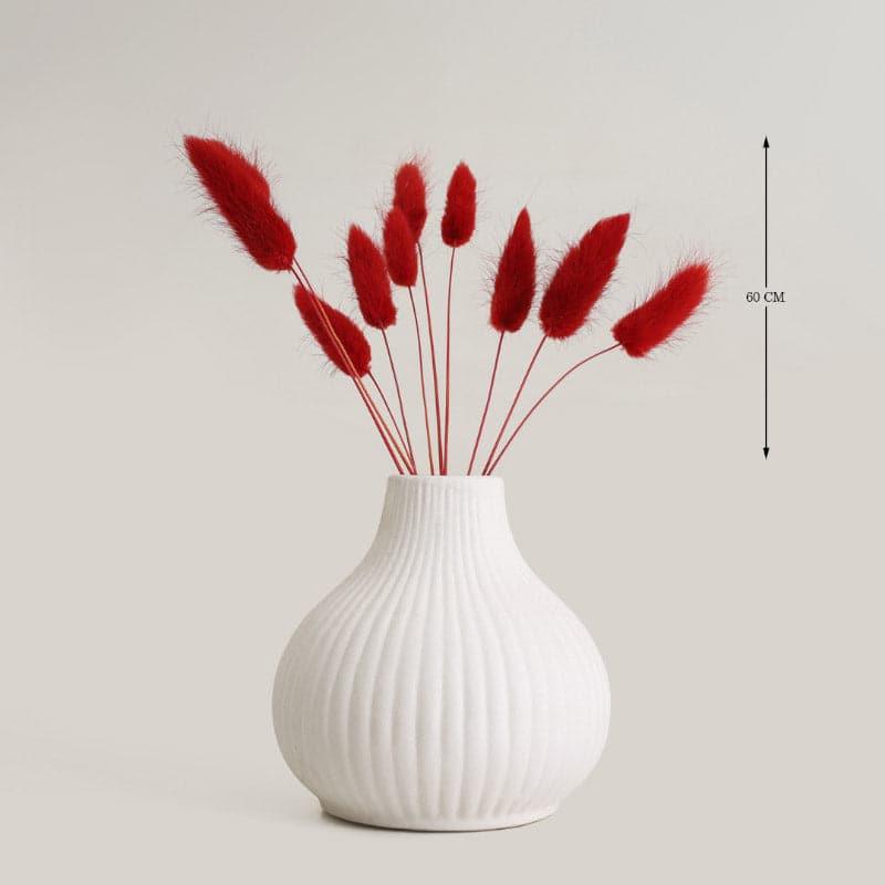 (Red) Bunny Tail Ornamental Grass (60 cms) - Set Of Fifteen media 4