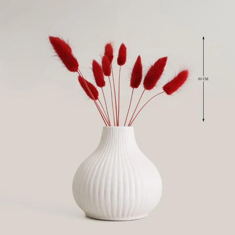 (Red) Bunny Tail Ornamental Grass (60 cms) - Set Of Fifteen media 4