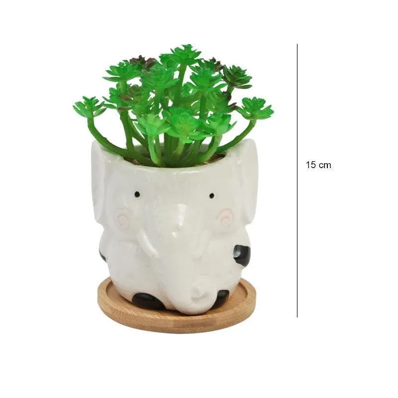 Faux Crassula In Elephant Face Pot - 17.5 cms media 6