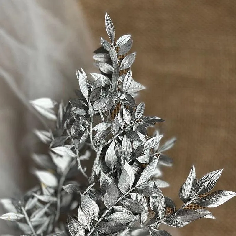 Dried Ruscus Bunch (Silver) - Set Of Three media 3