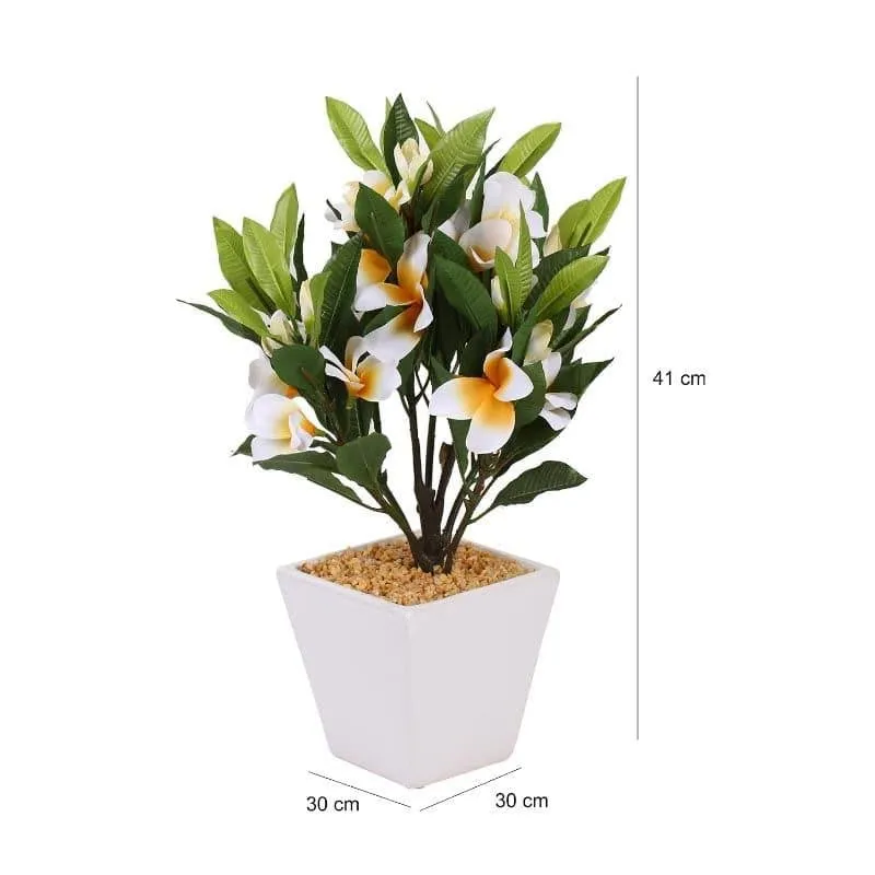 Faux Frangipani Bonsai (30 cms) - White media 4