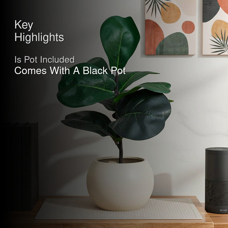 Faux Everlasting Fiddle Leaf Fig Plant With Black Plastic Pot - 28 cm media 2