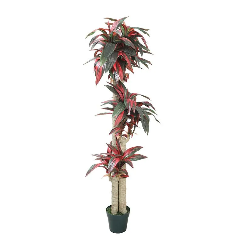EarthTone Artificial Plant With Black Plastic Pot - 5.7 ft media 4