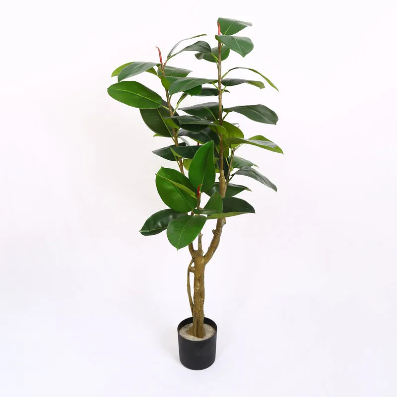 Verdiq Artificial Rubber Plant With Black Plastic Pot - 5 Feet media 4