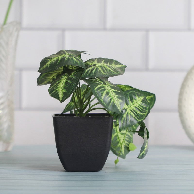 Artificial Arrowhead Plant With Black Plastic Pot