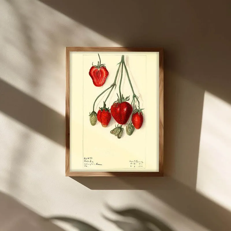 Juicy Harmony Archival Canvas Wall Art - Brown media 3