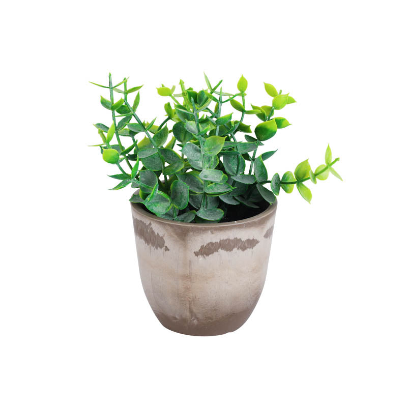 Artificial Mini Green Bush With Black Plastic Pot (Set Of Two) media 4