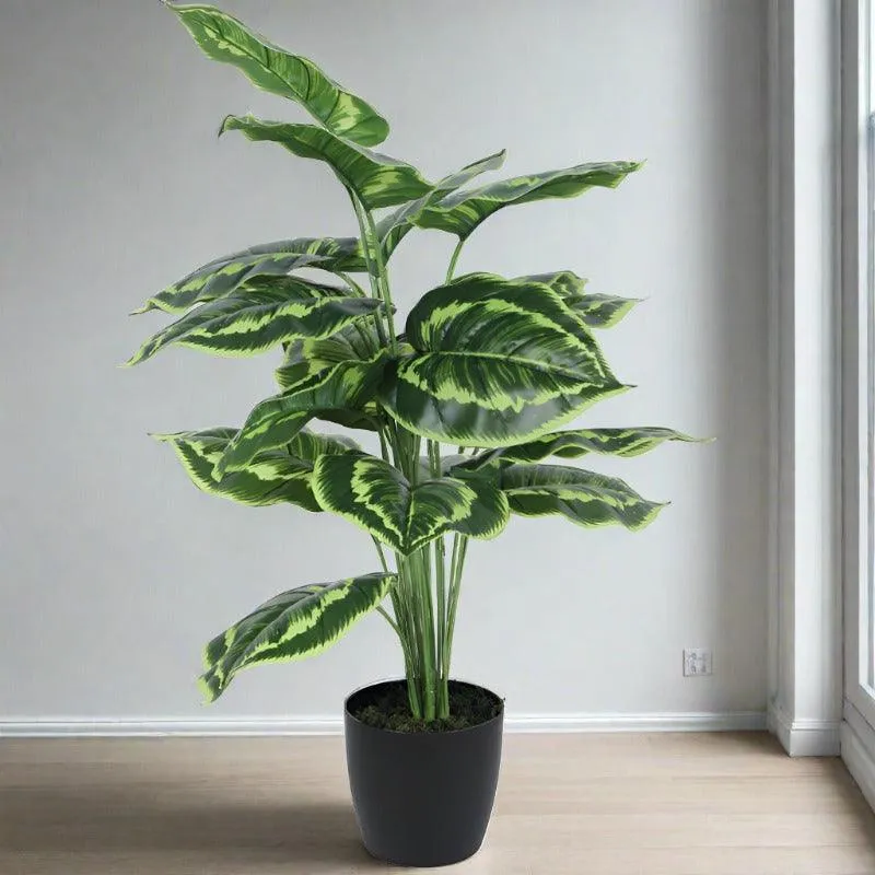 Faux Calatheas Silk Plant With Black Plastic Pot - 2.13 ft media 3