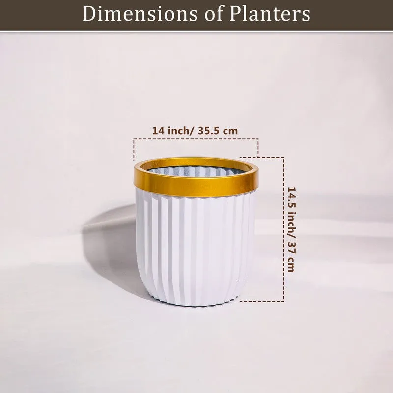GlowRoot Planter media 8