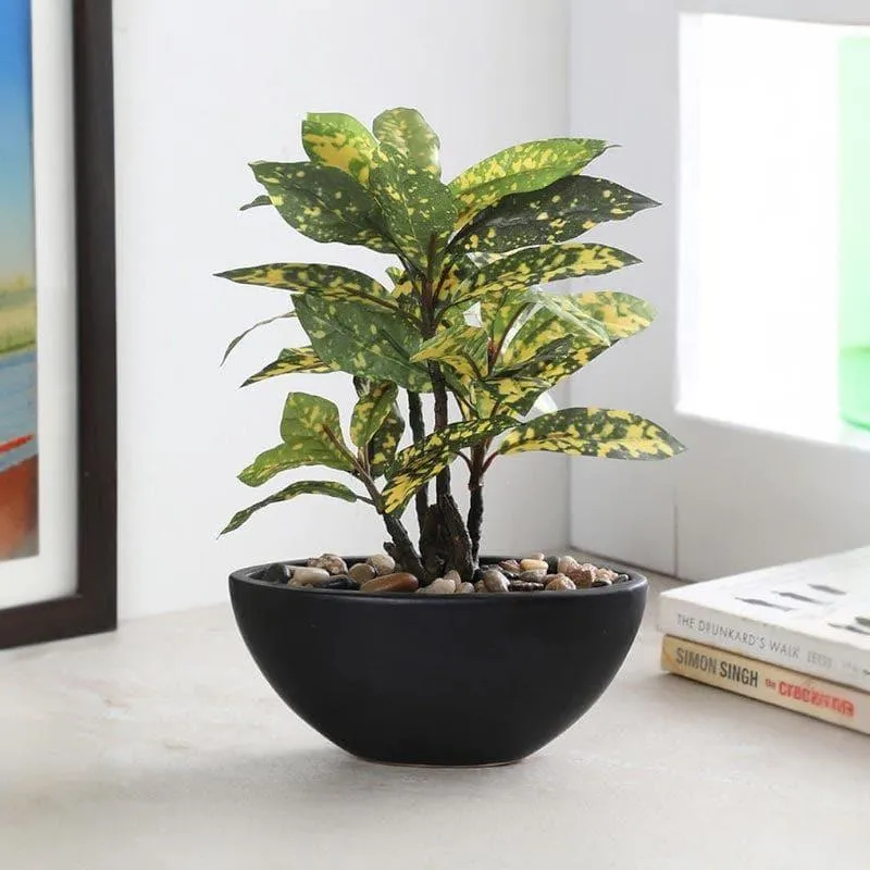 Faux Croton Bonsai In Bowl Pot (29 cms) - Yellow media 1
