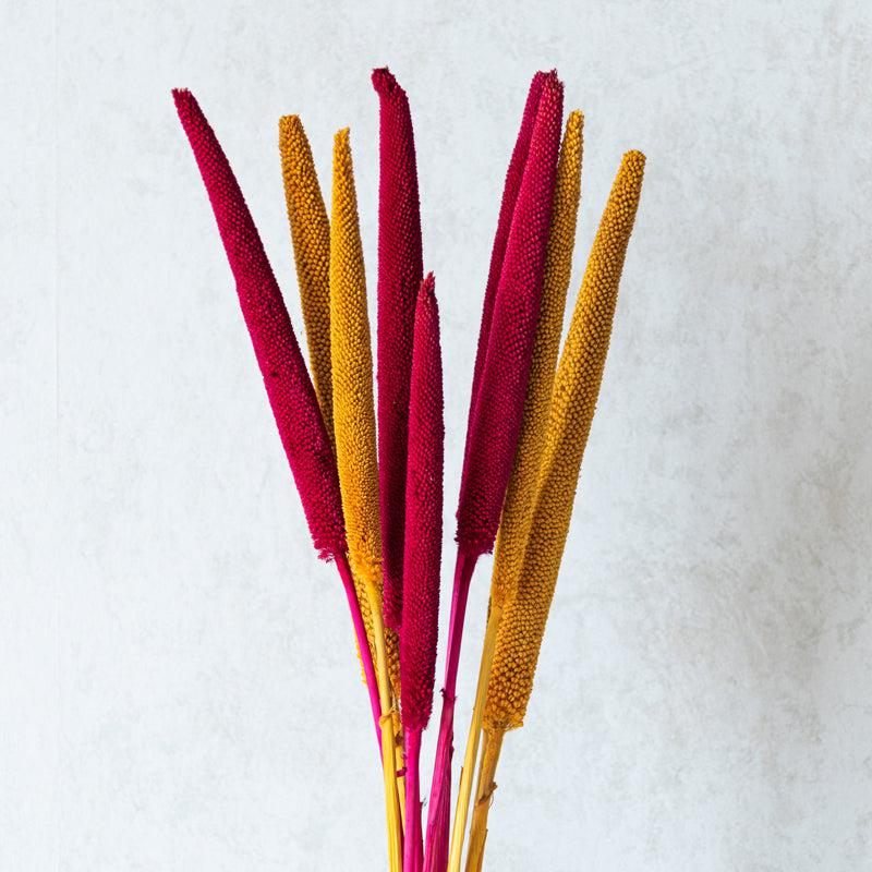Sival Dried Millet Stick (MultiColor) - Set Of Ten media 3