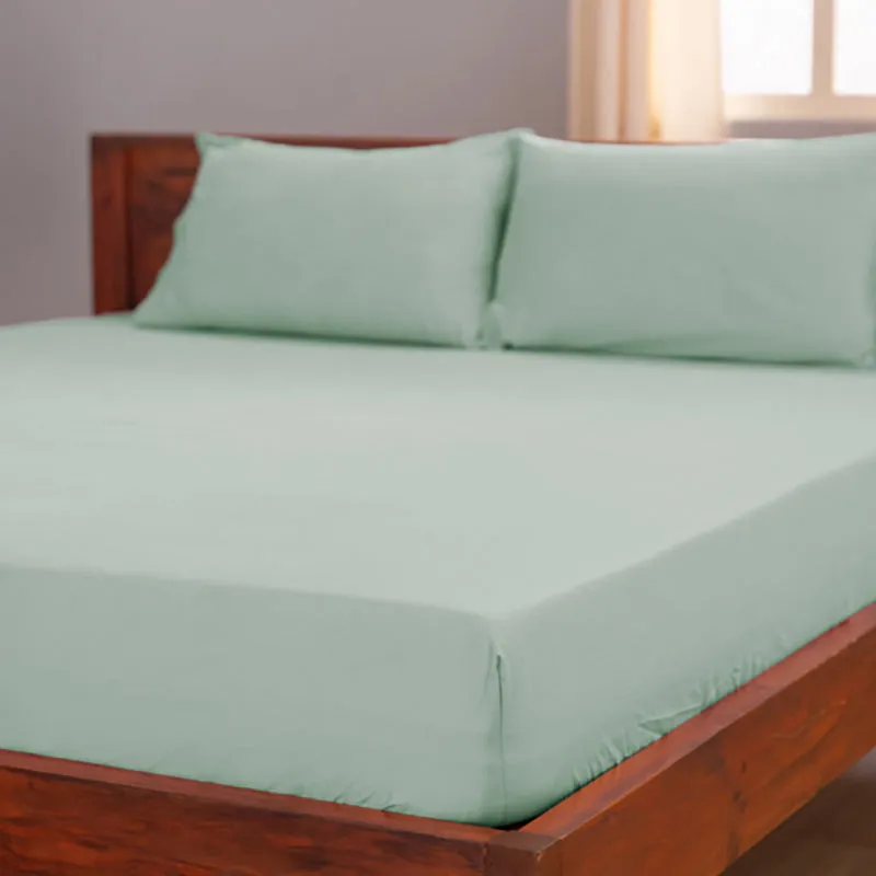 Maison Fitted Solid Cotton Bedsheet (Sage Green) - 400 TC media 6