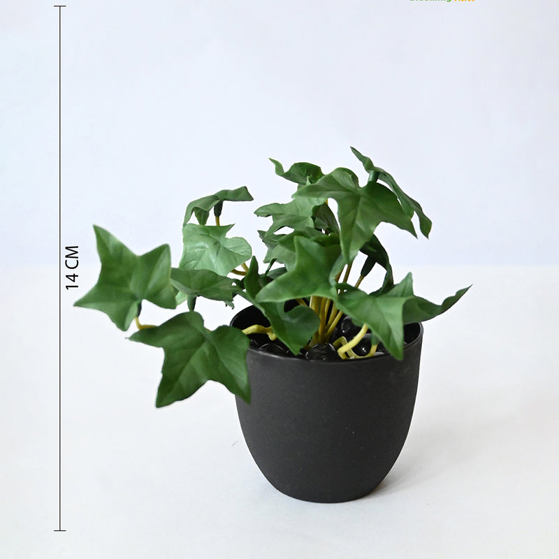 Ivella Artificial Mini Ivy Plant With Black Plastic Pot (Dark Green) - 14 cm media 8