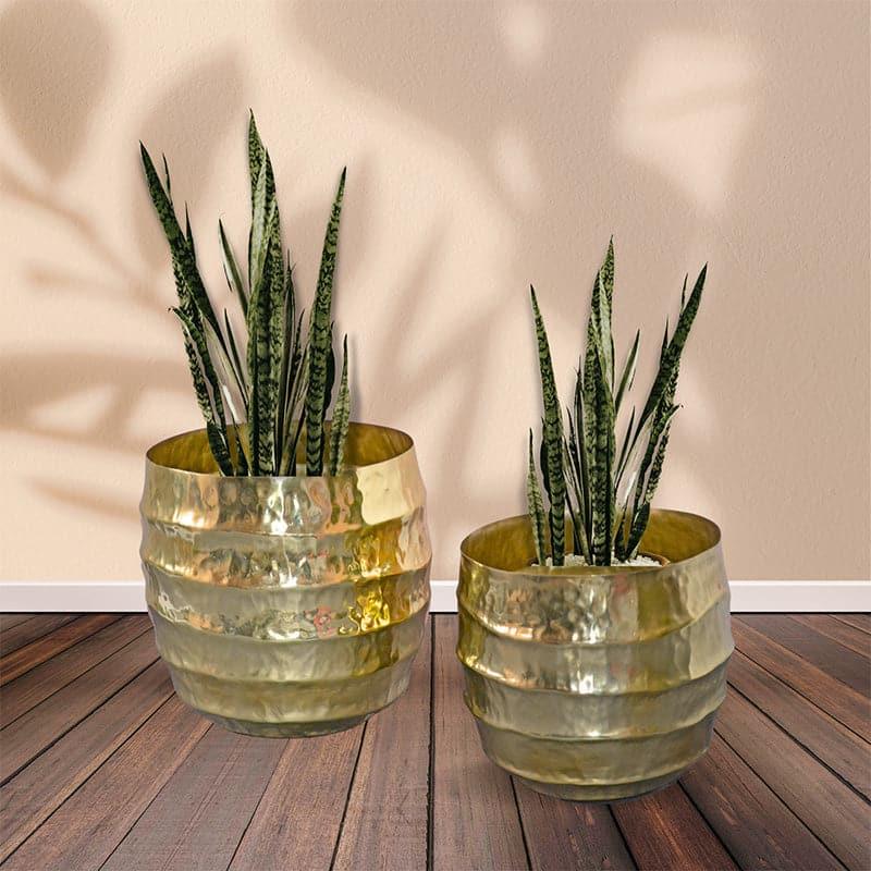 Moha Iron Planter - Gold media 3