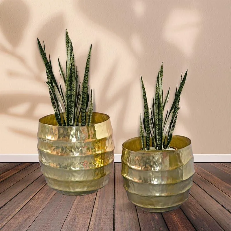 Moha Iron Planter - Gold media 3