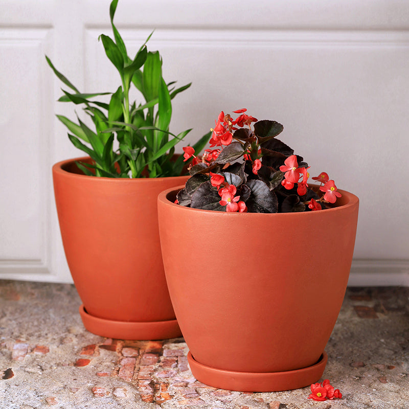 Mud Haus Terracotta Planter - Set Of Two image 2