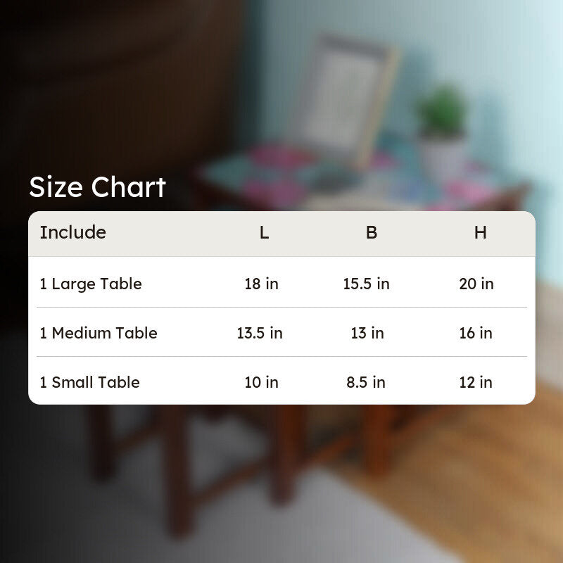 Pushya Side Table - Set Of Three media 13