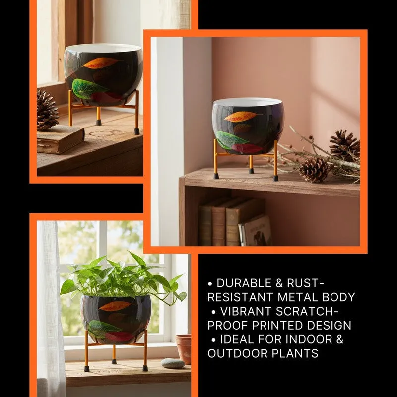 Garden Raga Pots & Planter media 4